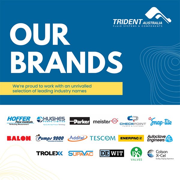 What brands does Trident Australia have in its product portfolio?